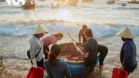 Ngư dân Quảng Bình làm giàu từ biển, tuân thủ quy định khai thác (07/8/2023)