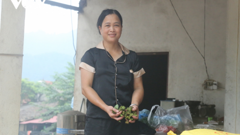 Nữ nông dân người Nùng với khát vọng làm giàu ở huyện Văn Lạng, tỉnh Lạng Sơn (7/8/2023)