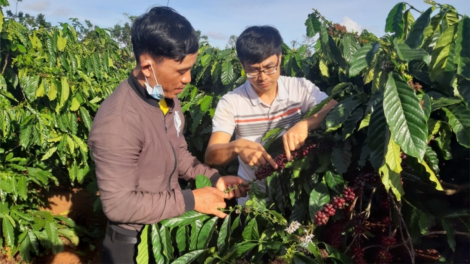 Đảng viên ở vùng sâu Kon Rẫy-Kon Tum giúp người Xơ Đăng thay đổi nếp nghĩ, cách làm (28/8/2023)