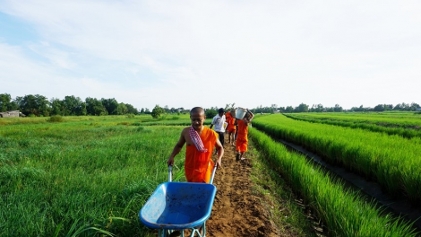 Đồng bào Khmer Sóc Trăng chung tay bảo vệ môi trường (18/8/2023)