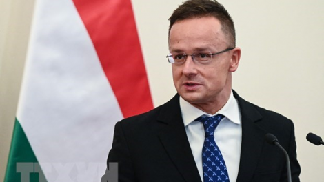 Nhìn nhận ra sao việc Hungary và Áo tiếp tục hợp tác năng lượng với Nga, trong khi Liên Minh Châu Âu lại muốn điều ngược lại? (8/8/2023)