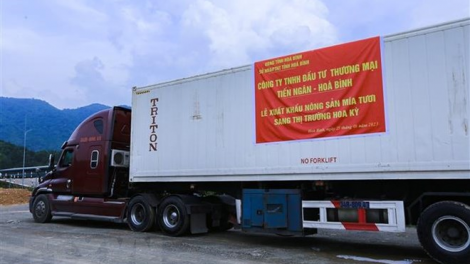 THỜI SỰ 18H CHIỀU 26/8/2023: Việt Nam tiếp tục xuất khẩu hơn 17 tấn mía tươi sang thị trường Hoa Kỳ