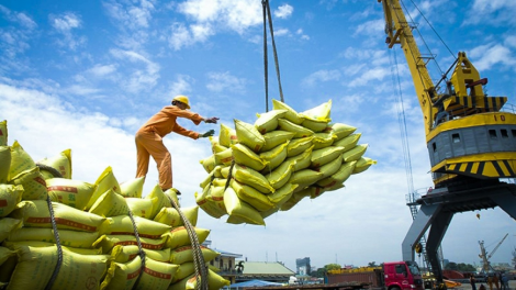 THỜI SỰ 18H CHIỀU 11/8/2023: Bộ Nông nghiệp và Phát triển nông thôn ước tính xuất khẩu tối đa 8 triệu tấn gạo cho xuất khẩu