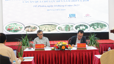Hội nghị phát triển sản xuất sầu riêng, chanh leo bền vững (10/8/2023)