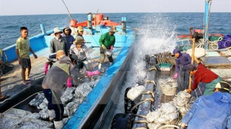 Đảm bảo an toàn cho tàu cá vươn khơi mùa mưa bão (09/09/2023)