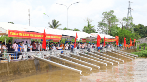 THỜI SỰ 18H CHIỀU 1/9/2023: Hơn 1 triệu con cá giống được thả xuống sông Hậu để tái tạo nguồn lợi thủy sản.