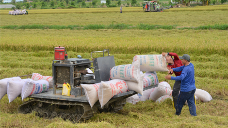 Trung tâm chế biến, tiêu thụ sản phẩm vùng ĐBSCL -  Mắt xích then chốt của kinh tế nông nghiệp hiện đại (29/9/2023)