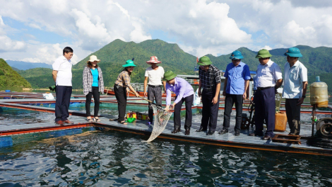 Gian nan bài toán giữ chuẩn nông thôn mới ở Lai Châu (29/9/2023)