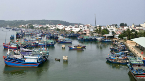 Bộ NN&PTNT: Chống khai thác IUU, tăng cường quản lý đội tàu ở các địa phương (5/9/2023)