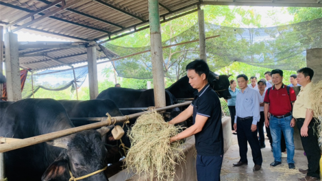 Đề ra các giải pháp sinh kế thích ứng với giảm thiểu rủi ro thiên tai vì cộng đồng (14/9/2023)