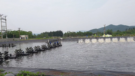 Nuôi trồng thuỷ sản ven biển thích ứng với biến đổi khí hậu (11/09/2023)