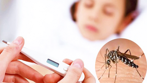 Đã có hơn 75.790 trường hợp mắc sốt xuất huyết, 18 ca tử vong (8/9/2023)