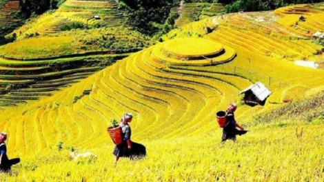 Thị trường du lịch kỳ nghỉ lễ 2/9 có được như kỳ vọng? (01/9/2023)