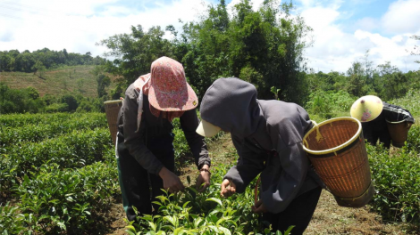 Kon Tum: Đồng hành gỡ khó hỗ trợ doanh nghiệp phát triển (28/9/2023)