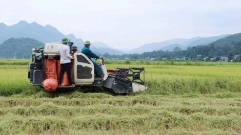 Nông dân tỉnh Lai Châu tăng thu nhập nhờ đẩy mạnh phát triển nông nghiệp hàng hóa (21/9/2023)