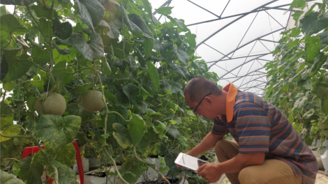 Nông dân Bình Định đẩy mạnh việc đưa sản phẩm lên sàn giao dịch điện tử (21/9/2023)