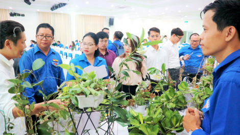 Mạnh dạn, táo bạo – Nhiều dự án khởi nghiệp của thanh niên miền Nam thu tiền tỷ (02/9/2023) ( tin này buổi sáng làm rồi)