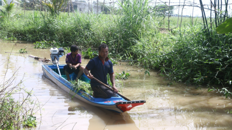 Sóc Trăng: Hỗ trợ chuyển đổi ngành nghề, tạo sinh kế cho đồng bào dân tộc Khmer (26/9/2023)