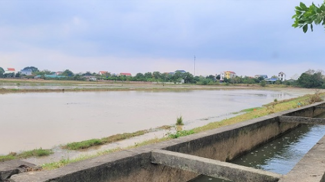 Hoàn thành đổ ải ngay trong đợt 1 xả nước các hồ thủy điện (18/01/2024)