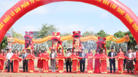 Đắk Lăk:  Xuất khẩu lô tổ yến chính ngạch đầu tiên sang thị trường Trung Quốc (20/1/2024)