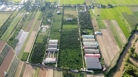 Về nơi nhiều mô hình trang trại có cách làm sáng tạo (22/01/2024)