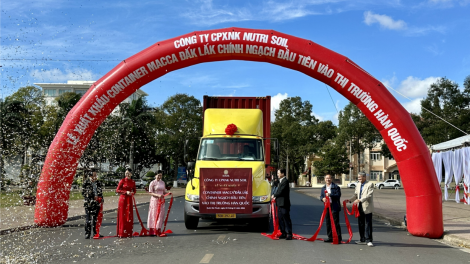 Xuất khẩu container Macca Đắk Lắk chính ngạch đầu tiên vào thị trường Hàn Quốc (3/1/2023)