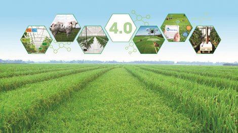 Chuyển đổi nông nghiệp xanh: phấn đấu đến năm 2025 không còn phát thải (04/01/2024)