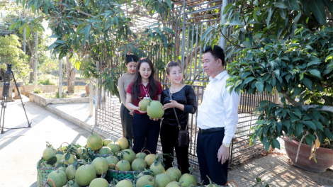 Đến nơi gà "đi bar", lợn nhẩn nha nghe nhạc!