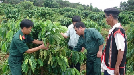 Xây dựng Chi bộ vững mạnh gắn với phát triển kinh tế - xã hội nông thôn ở huyện Sa Thầy, Kon Tum (15/1/2024)
