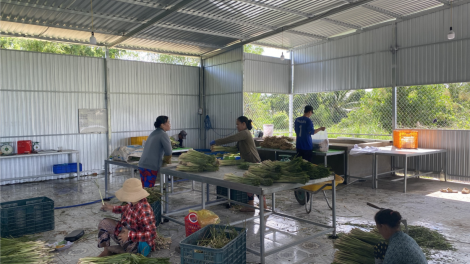 Vĩnh Long: Chủ động tháo gỡ khó khăn cho doanh nghiệp (8/1/2024)