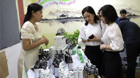 Hỗ trợ, thúc đẩy phong trào khởi nghiệp của phụ nữ Hải Phòng (07/1/2024)