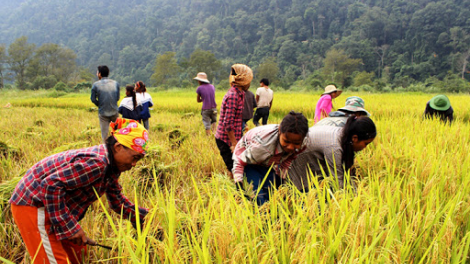 Việt Nam- quốc gia duy nhất ở châu Á thực hiện chương trình giảm nghèo đa chiều, bao trùm, bền vững (21/1/2024)