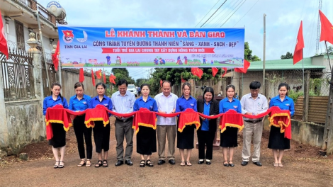 Tuổi trẻ Gia Lai góp sức xây dựng nông thôn mới (4/1/2024)