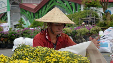 Làng hoa Sa Đéc chuẩn bị khoảng 1,2 triệu giỏ hoa phục vụ thị trường Tết (16/1/2024)