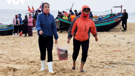 Quảng Bình: ngư dân ra khơi được mùa cá dịp đầu năm (8/1/2024)