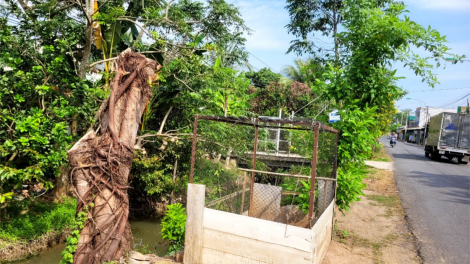 Đô thị Mỹ Tho (Tiền Giang) có nhiều cây xanh bị chết, đốn bỏ, nắng chói chang (09/1/2024)