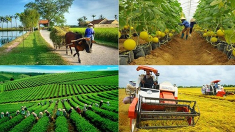Sản xuất nông nghiệp thích ứng với thiên tai hàng năm (09/10/2024)