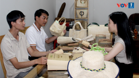 Đắk Lắk xuất khẩu … xơ mướp! (16/10/2024)
