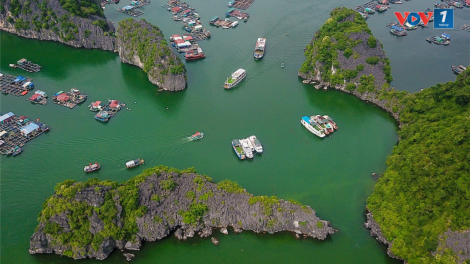 Hải Phòng: Thành lập Ban chỉ đạo Quản lý Di sản thiên nhiên thế giới vịnh Hạ Long – quần đảo Cát Bà (22/10/2024)