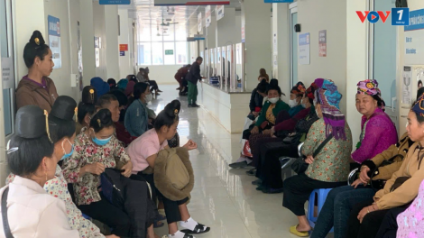 Nỗ lực đẩy lùi bệnh rối loạn chuyển hoá và nội tiết ở Sơn La (21/10/2024)