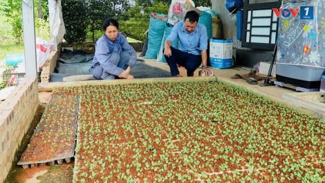 Lào Cai: Dồn lực hoàn thành mục tiêu năm ở mức cao nhất (16/10/2024)