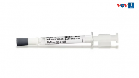 Nhật Bản bắt đầu triển khai sử dụng vắc xin cúm dạng xịt mũi cho trẻ em (12/10/2024)