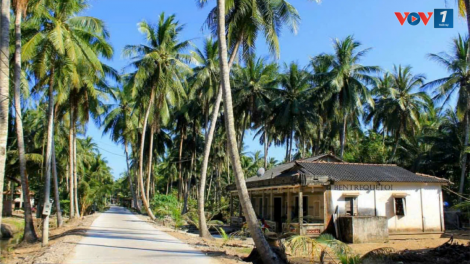 Bến Tre: Đứng hạng 03 trong khu vực ĐBSCL về xây dựng xã Nông thôn mới (14/10/2024)