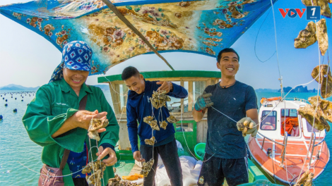 Loạt bài: Hồi sinh sau giông bão<br> Bài 1: Ngã ở đâu, đứng dậy ở đó (29/10/2024)