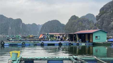 Hải Phòng: Hỗ trợ người dân phục hồi nuôi trồng thuỷ sản sau bão số 3 (3/10/2024)