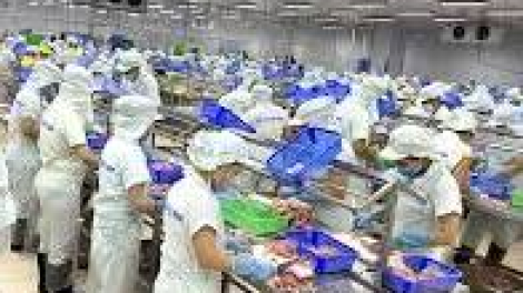 Chính sách an sinh xã hội đổi mới để phù hợp với người lao động (21/10/.2024)