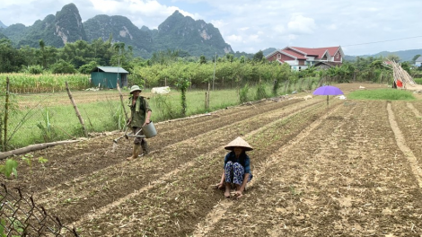 Đẩy mạnh khôi phục sản xuất nông nghiệp sau bão số 3 (20/10/2024)