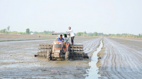 ĐBSCL - Thay đổi tư duy để sử dụng hiệu quả tài nguyên đất phục vụ sản xuất (11/10/2024)