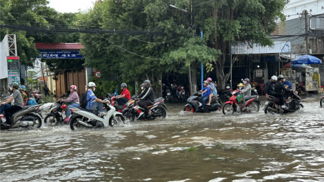 Triều xuống nhưng người dân vẫn bì bõm ngày đầu tuần (7/10/2024)