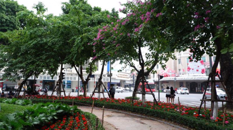 Phải quan trắc, giám sát thường xuyên, liên tục môi trường không khí (25/10/2024)